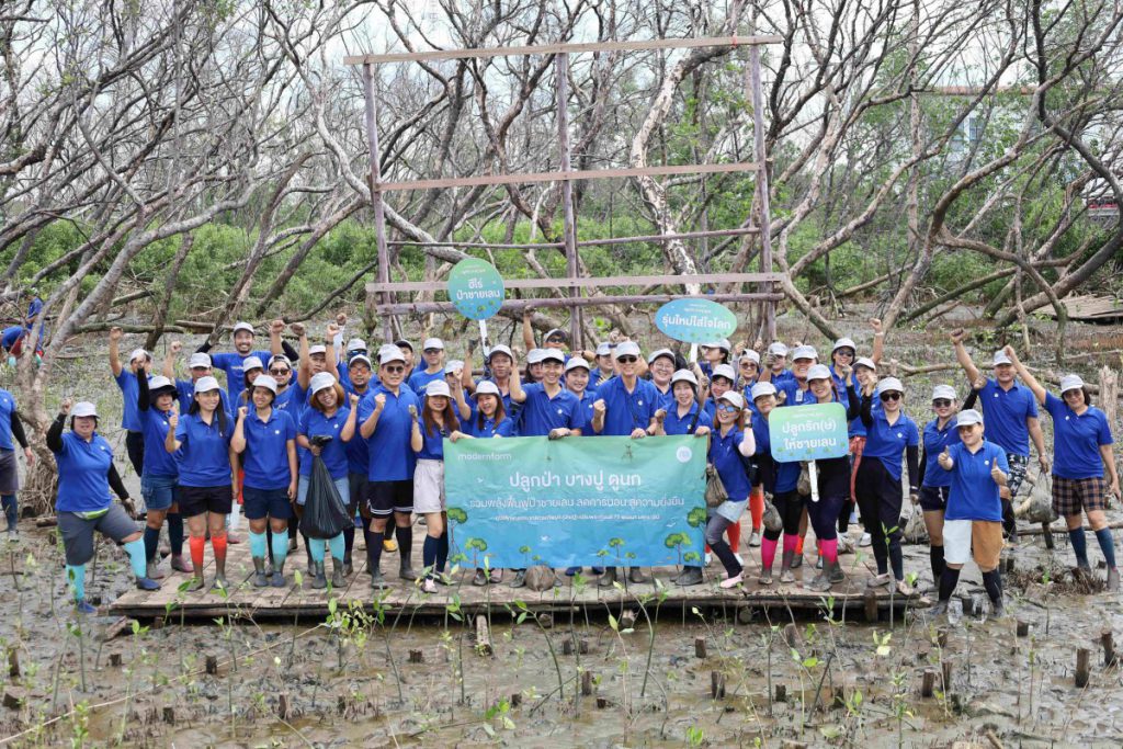 โมเดอร์นฟอร์มสานต่อภารกิจรักษ์โลกปีที่ 2  ปลูกป่าชายเลน 1,000 ต้น เพิ่มพื้นที่สีเขียวและกักเก็บคาร์บอนสู่ความยั่งยืน