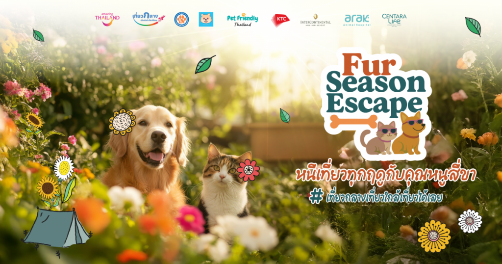 ททท. เปิดตัวโครงการ “Fur Season Escape หนีเที่ยวทุกฤดูกับคุณหนูสี่ขา” ชวนสัมผัสประสบการณ์ท่องเที่ยวแบบ Pet-friendly ระดับพรีเมียม พร้อมจัดงาน ME & PAWS Fair ในบรรยากาศแสนเก๋และอบอุ่น